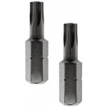 Бита Redverg Torx Tamper 25х25 (2шт.)(720441)