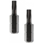 Бита Redverg Torx Tamper 20х25 (2шт.)(720431)