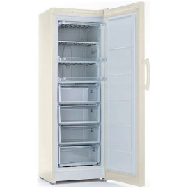 Морозильная камера INDESIT DSZ 5175 E