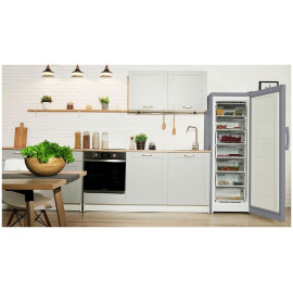 Морозильная камера INDESIT DSZ 5175 G