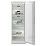 Морозильник Gorenje F 31 CC
