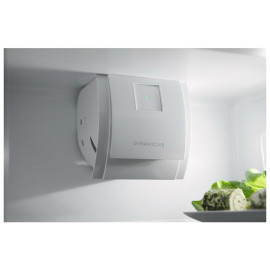 Холодильник ELECTROLUX RRS3DF18S