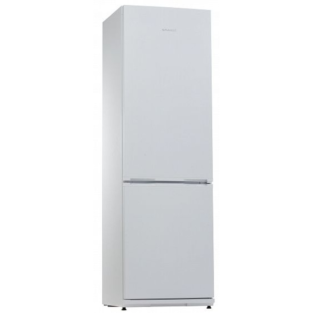 Холодильник SNAIGE RF36SM-S0002G0