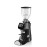 Кофемолка FIORENZATO F64 EVO Glossy Black
