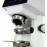Кофемолка FIORENZATO F83 E Artic White