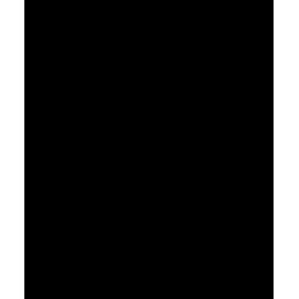 Кухонная мойка Omoikiri Kata 55-2-U-BL (4993389)
