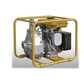 Бензиновая мотопомпа ROBIN SUBARU ptg208h