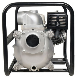 Мотопомпа DDE PTR100H