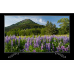 Телевизор SONY KD-49XF7005