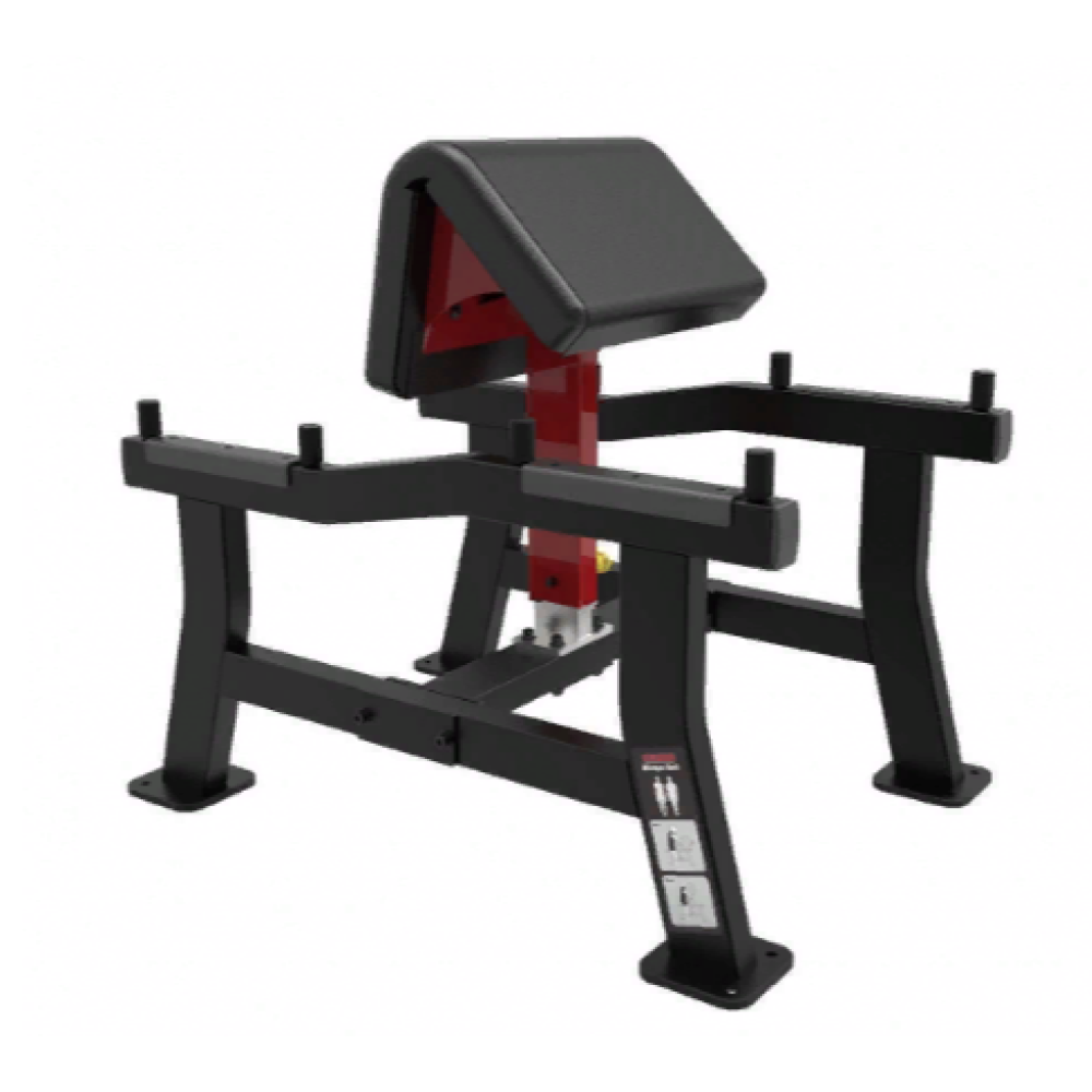Скамья Скотта AeroFIT SL7018