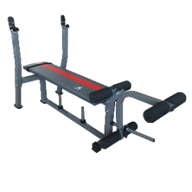 Скамья под штангу DFC D307D