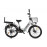 Велогибрид GREEN CITY e-ALFA Fat серебристый