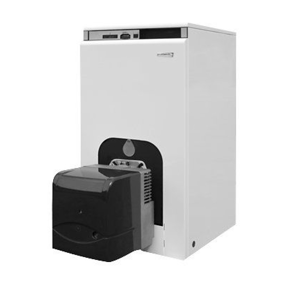 Газовый котел PROTHERM бизон 30 nl