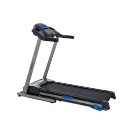 Беговая дорожка Royal Fitness RF-1 (F-52)
