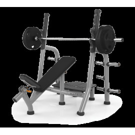 Скамья для жима Matrix Magnum A79 Platform Iced Silver