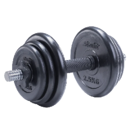 Гантель Starfit DB-702 10 кг