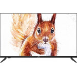 Телевизор JVC LT-32M395