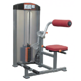 Тренажер для пресса и спины AeroFIT Functional IF8124