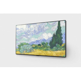Телевизор LG OLED55G1RLA
