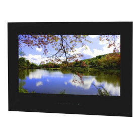 Телевизор AVEL AVS245SM Black