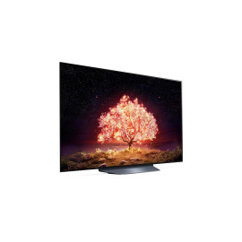 Телевизор LG OLED55B1RLA