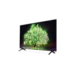 Телевизор LG OLED48A1RLA