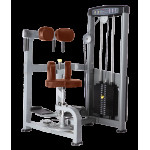 Торс-машина Bronze Gym D-011 C
