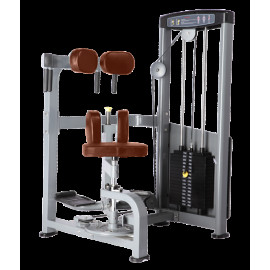 Торс-машина Bronze Gym D-011 C