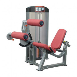 Тренажер для ног AeroFIT Functional IF8106