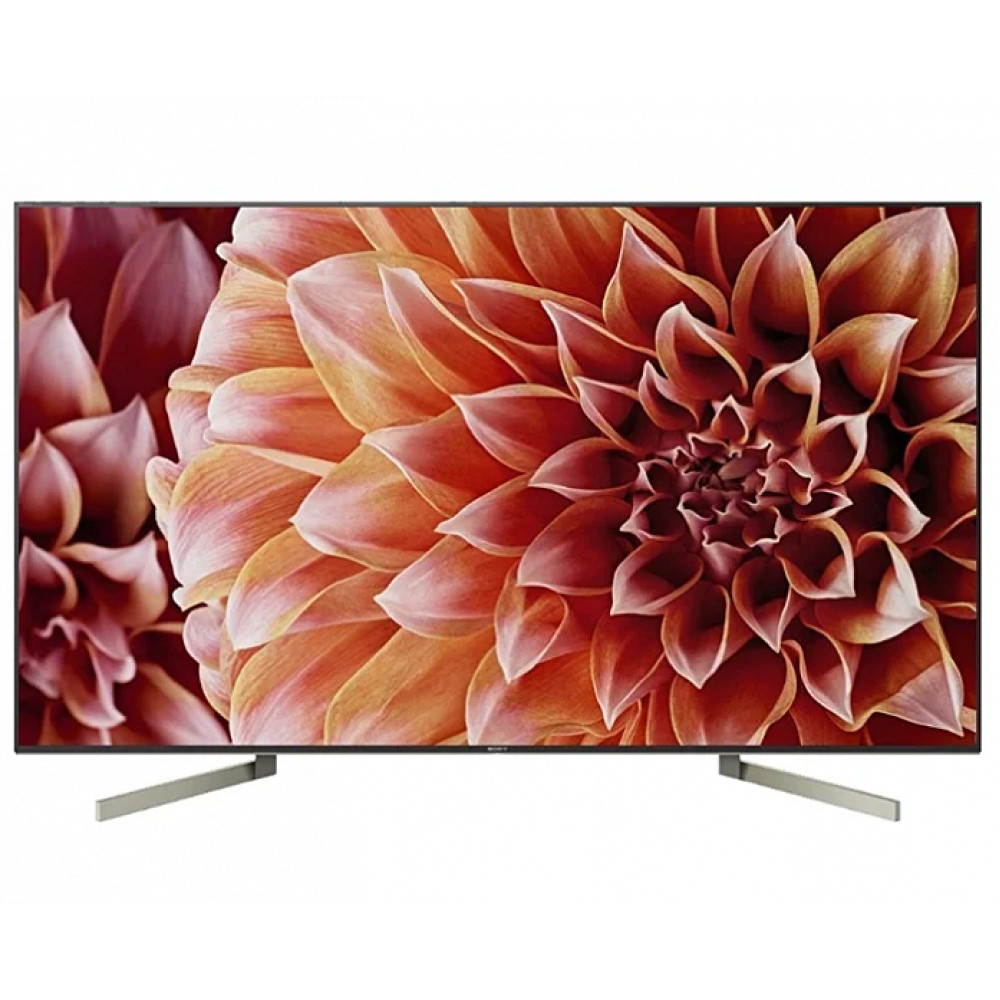 Телевизор Sony KD-55XF9005