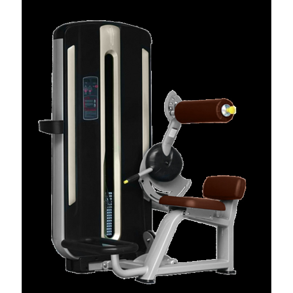 Тренажер для спины Bronze Gym MNM-009