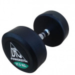 Гантели обрезиненные DFC Powergym DB002-27.5