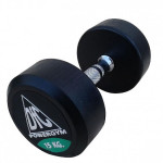 Гантели обрезиненные DFC Powergym DB002-17.5