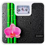 Весы напольные ENERGY ENМ-409D (003116 )