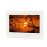 Телевизор AVIS AVS245SM White