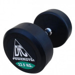 Гантели обрезиненные DFC Powergym DB002-22.5