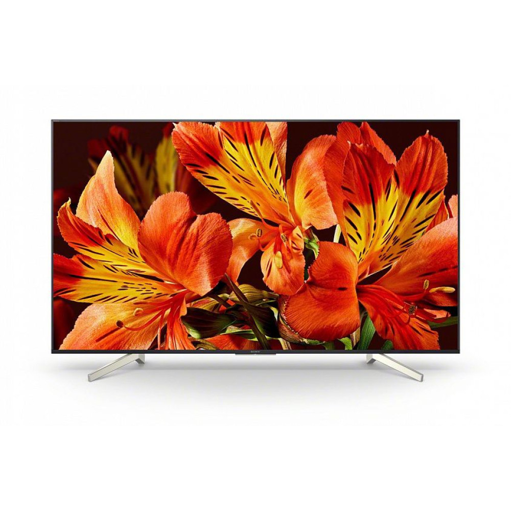 Телевизор Sony KD-55XF8596