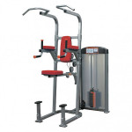 Силовой тренажер AeroFIT Functional IF8120
