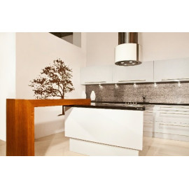 Вытяжка Faber CASSIOPEA ISOLA EG10 X/V A50 (арт.110.0157.062)