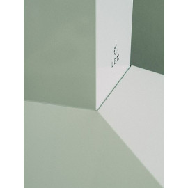 Вытяжка LEX BASIC 500 WHITE