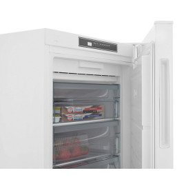 Морозильная камера Scandilux FN 210 E00 W