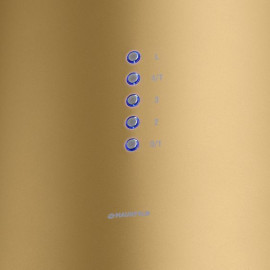 Вытяжка MAUNFELD LEE WALL 39 GOLD