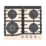 Варочная поверхность JACKY'S JH GI621