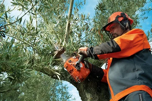 Бензопила HUSQVARNA Т435 (1.5кВт/2.0 л.с., X-TORQ, 12 , 3/8 ) 9669972-12