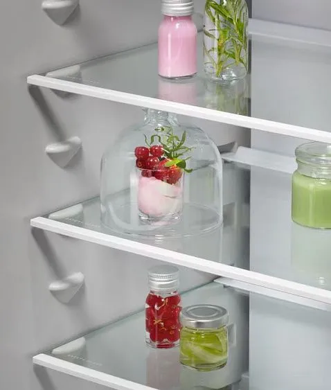 Холодильник AEG OSC5D181ES