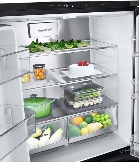 Холодильник LG GC-V22FFBMB