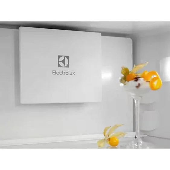 Холодильник ELECTROLUX E6MNCE19S