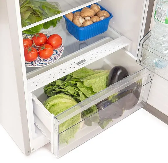 Холодильник SCANDILUX R404Z01X