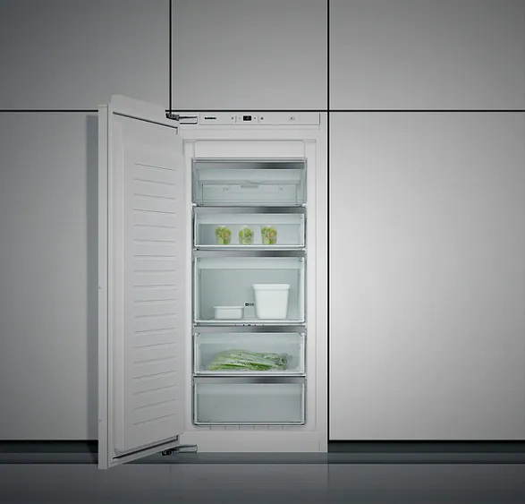 Морозильник GAGGENAU RF222303