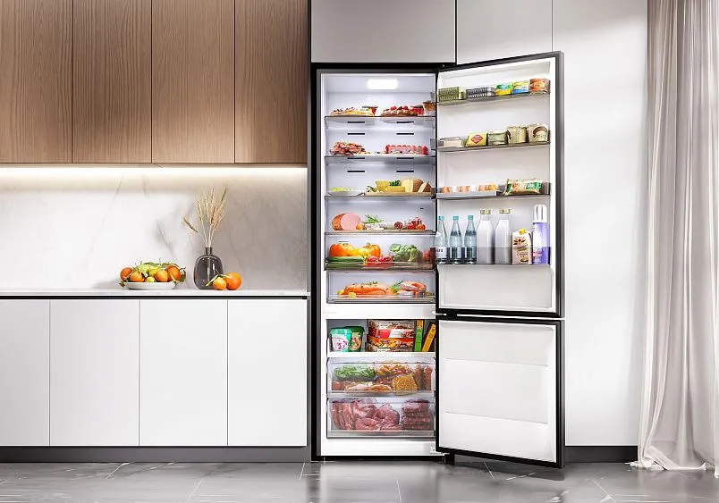 Холодильник LEX LKB201GrGIDMax